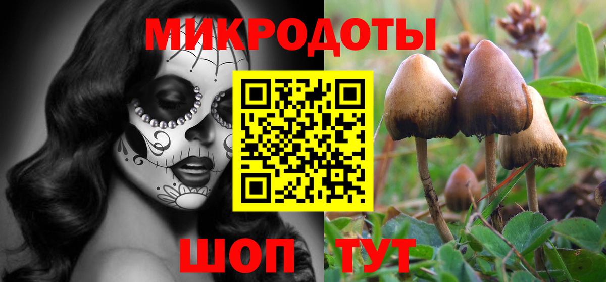 Галлюциногенные грибы Magic Shrooms Сатка